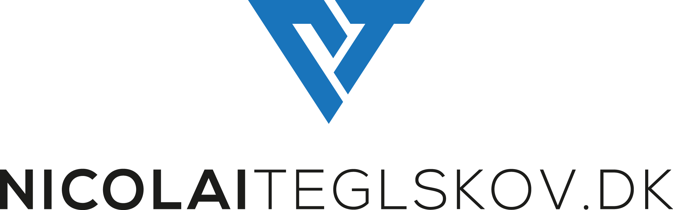 NicolaiTeglskov.dk logo