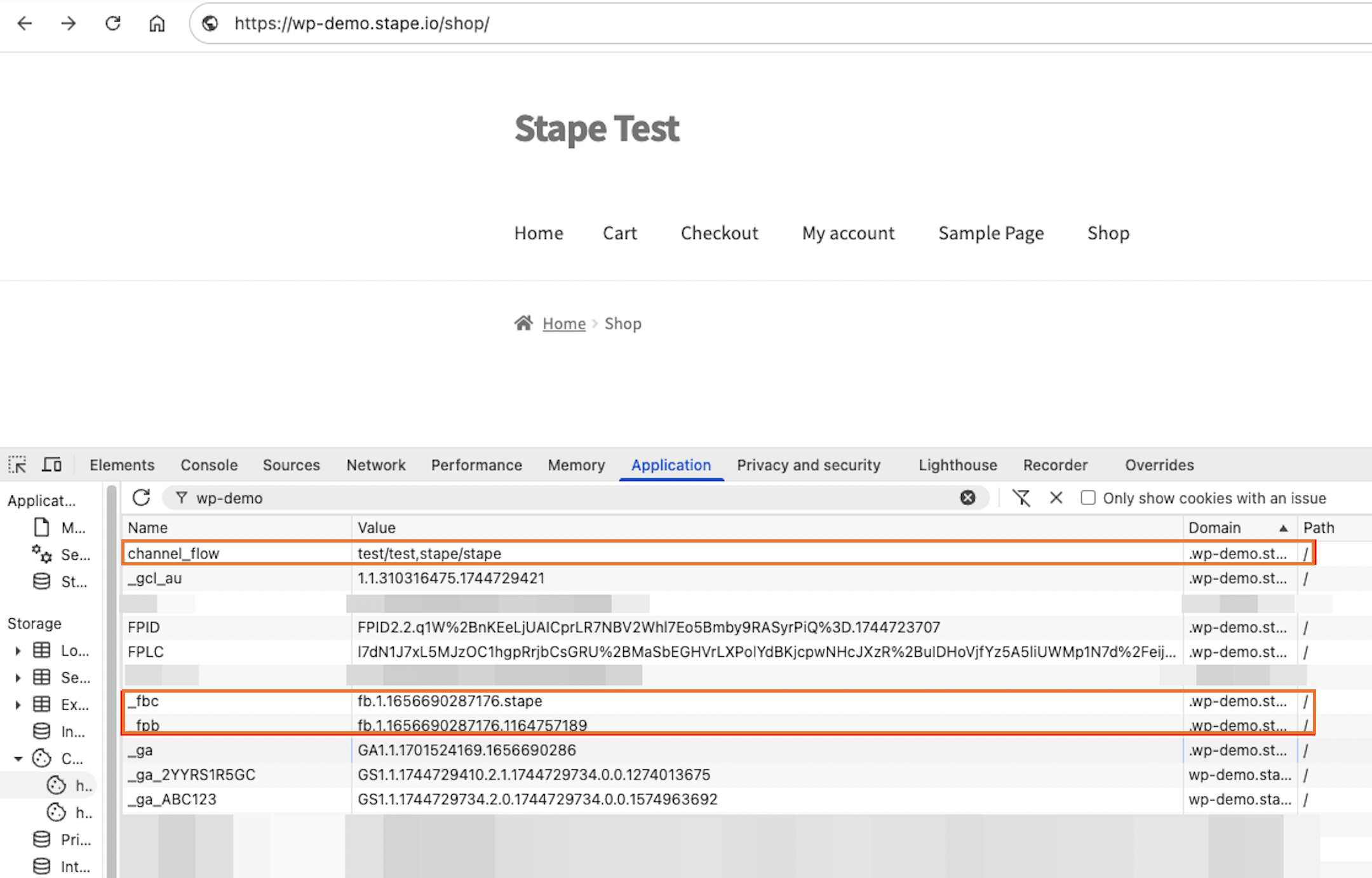 Setup test in developer tools