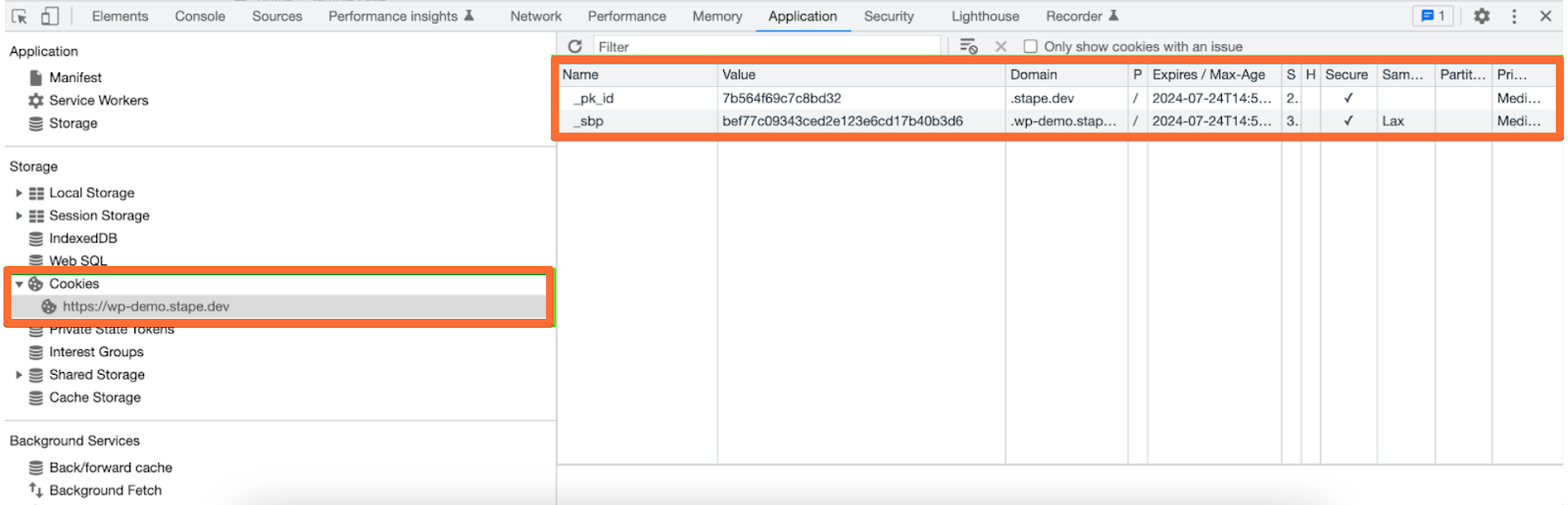 Website console